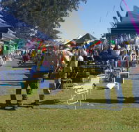 Casino Golf Club Markets - Accommodation Daintree