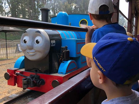 Day Out With Thomas At Puffing Billy - Accommodation Daintree 1