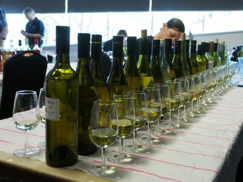 Eltham And District Wine Guild Annual Wine Show - 51st Annual Show - Accommodation Daintree 1