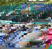 Festival in the Park - Accommodation Daintree