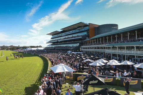 George Main Stakes Day - Accommodation Daintree 1