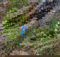 Goldrush Trail Runs - Accommodation Daintree