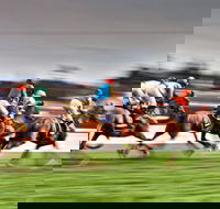 Grafton July Racing Carnival - Accommodation Daintree