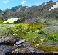 Hedonistic Hiking's Falls Creek to Hotham - Accommodation Daintree
