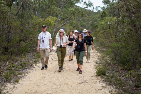 Highland Valley Forage - Accommodation Daintree 1