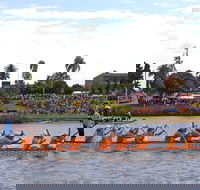 Jacaranda Dragon Boat Races - Accommodation Daintree