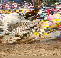 Jindabyne's Man From Snowy River Rodeo - Accommodation Daintree
