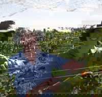 Kingsdale Wines - Cellar Door Wine Tastings - Accommodation Daintree