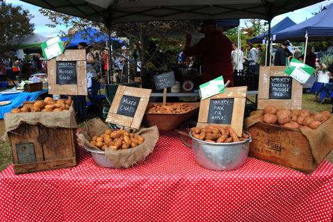 Lawson Park Markets - Accommodation Daintree 0