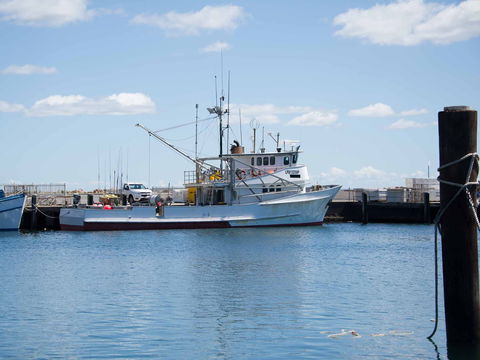 Love Sea Food Port Stephens - Accommodation Daintree 1