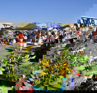 Maclean Community Monthly Markets - Accommodation Daintree