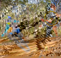 NSW State Downhill Mountain Bike Championships - Accommodation Daintree