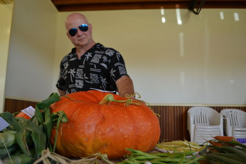 Pambula Show - Accommodation Daintree 1
