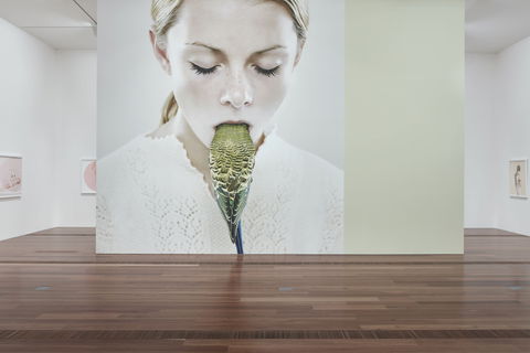 Petrina Hicks: Bleached Gothic Virtual Tour - Accommodation Daintree 2
