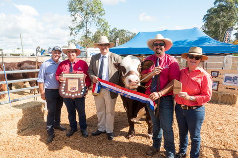 Primex Field Days - Accommodation Daintree 0