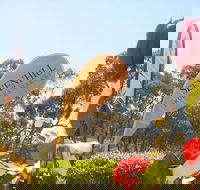 Sevenhill Producers Market - Accommodation Daintree