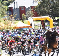 Snowies MTB Festival - Accommodation Daintree