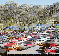 Spring Cruiz In - Accommodation Daintree