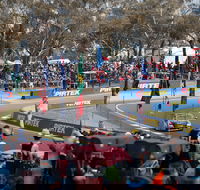 Supercars Supercheap Auto Bathurst 1000 - Accommodation Daintree