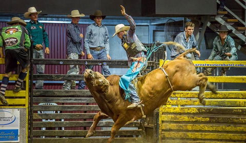 Top Gun And Young Gun Series Round 8 - Accommodation Daintree 0