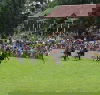Tumut Derby Day - Accommodation Daintree