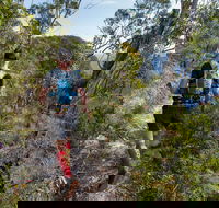 Wild Earth Coastal High 50 - Accommodation Daintree