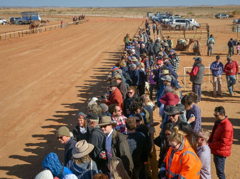 28th Marree Australasian CAMEL CUP 3 July 2021 - Accommodation Daintree 0