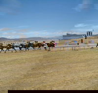 Adaminaby Cup Race Day - Accommodation Daintree