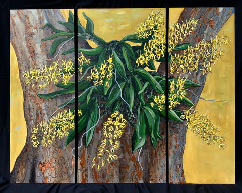A Still Life - Solo Exhibition  Karen Sedaitis - Accommodation Daintree 1