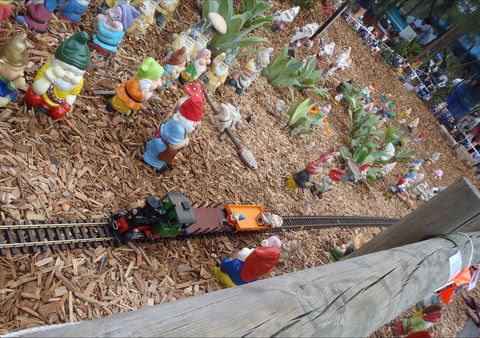Australia Day With The Australian Gnome Convention Glenbrook - Accommodation Daintree 2