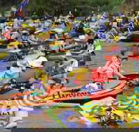 Australia Day Celebrations Gunnedah - Accommodation Daintree