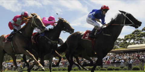 Batemans Bay Cup - Accommodation Daintree 0