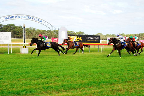 Batemans Bay Cup - Accommodation Daintree 2