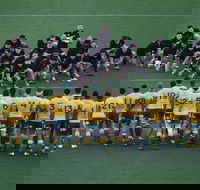 Bledisloe Cup Qantas Wallabies versus All Blacks - Accommodation Daintree