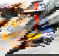 Brewing for Beginners - Accommodation Daintree