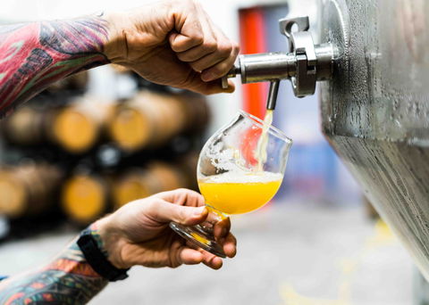 Brewing For Beginners - Accommodation Daintree 0