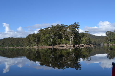 Canoes, Champagne And Canapés - Accommodation Daintree 2