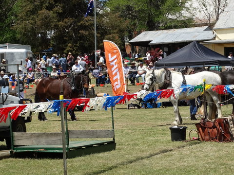 Carcoar Show - Accommodation Daintree 0