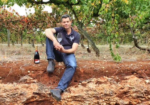 Cellar Dwellers Wine Dinner - Accommodation Daintree 0