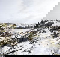 Christmas in July at Cradle Mountain Hotel 2020 - Accommodation Daintree