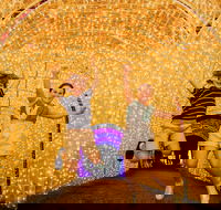 Christmas Lights Spectacular New Year's Eve at Hunter Valley Gardens - Accommodation Daintree