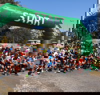 Coffs Harbour Running Festival - Accommodation Daintree