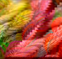 Creative Fibre - Accommodation Daintree
