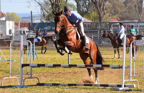 Glen Innes Pastoral And Agricultural Show - Accommodation Daintree 0