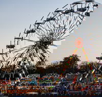 Grafton Show - Accommodation Daintree