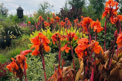 Highfield Gardens - Accommodation Daintree 1