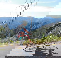 High Country Women's Cycling Festival - Accommodation Daintree