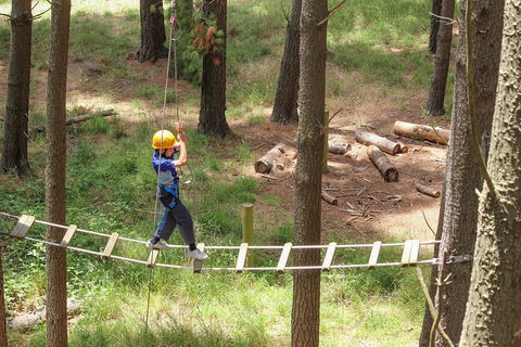 July 2020 Holidays- Go Wild At The Mt Lofty Adventure Hub - Accommodation Daintree 0