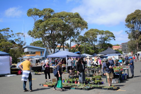 Marine Rescue Ulladulla Wharf Markets - Accommodation Daintree 1