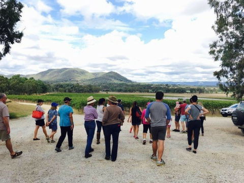 Mudgee Farm Walks - Accommodation Daintree 1
